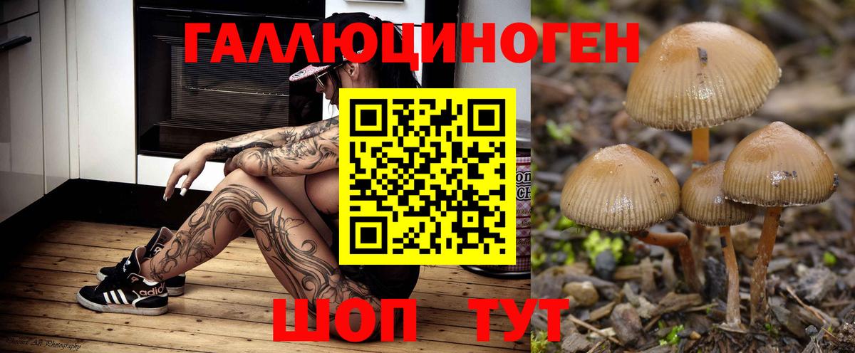 Галлюциногенные грибы Magic Shrooms Воскресенск