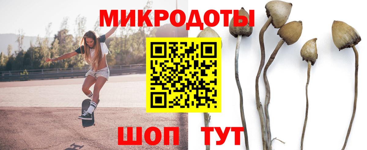 Псилоцибиновые грибы Psilocybine cubensis  Вход с VPN  Воскресенск  Галлюциногенные грибы прущие грибы 